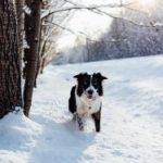 畅享免费电视剧网站观看,海量精彩剧集任你选择 2tt49