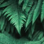 畅享免费看片,海量影视资源随心看 3x14oja6k