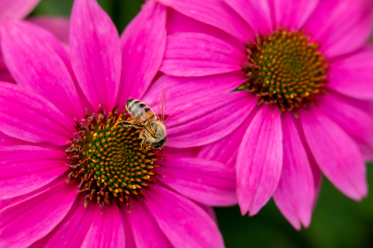 畅享免费观看高清电影的最佳平台推荐