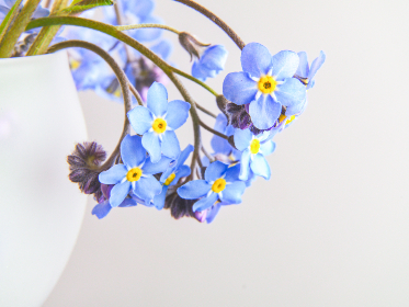 畅享八戒影视剧在线播放，尽情领略精彩剧情