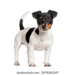 畅享免费追剧,尽在时光正好平台在线观看 f82e9twux