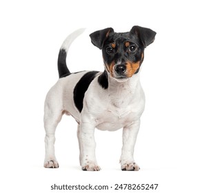 畅享免费追剧，尽在时光正好平台在线观看