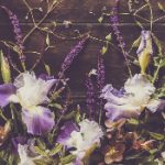 精选高清美女壁纸,电脑壁纸免费下载推荐 g9091yf5