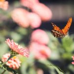 精彩绝伦的美女打扑克视频,尽享游戏魅力与视觉盛宴 hbs5luqk3f