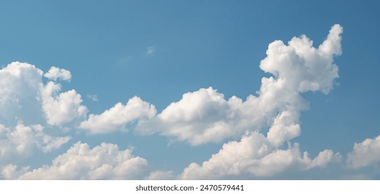 精美美女图片素材集合大全，尽享视觉盛宴