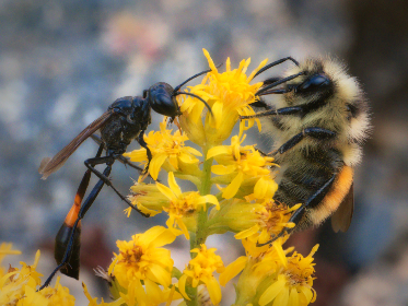 精彩跳转进行中：女生视频带你领略不一样的世界