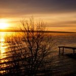 畅享八哥网电影网在线观看,尽览精彩影视盛宴 m12r9ug5