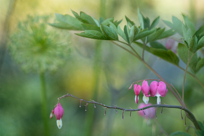 畅享免费中文电影：海量经典与新片任你观看