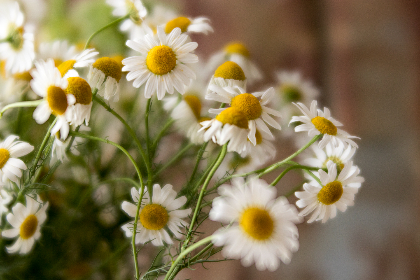 第九电影网：探索电影世界的无限可能与精彩瞬间