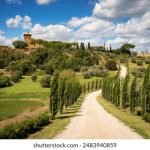 精彩双人打扑克高清视频分享,尽享游戏乐趣 qci2vae8o