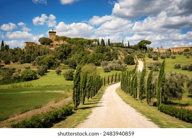 精彩双人打扑克高清视频分享，尽享游戏乐趣