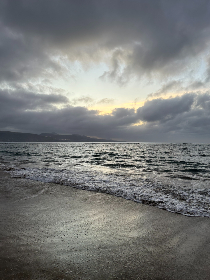 畅享免费追漫画app下载，海量资源随心看！