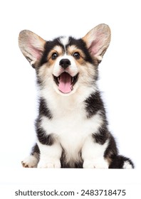 畅享免费在线观看最新电影，尽在这里！