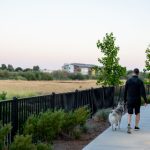 畅享免费在线打扑克,尽情体验扑克乐趣 v40l13gfus