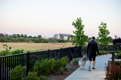 畅享免费在线打扑克，尽情体验扑克乐趣